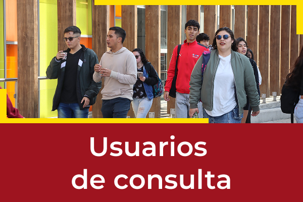 imagen decorativa Usuarios de Consulta
